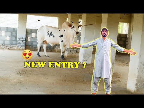 New Entry 😍 ? | Rainy Weather ☁️ | Entertainment Vlog | Abdullah Zahed |