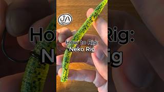How to Rig a Neko Rig #fishing #fishingtips #howto #bassfishing #largemouthbass #smallmouthbass