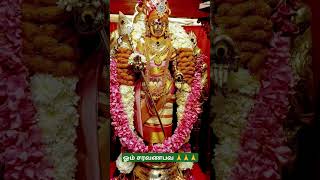 ஓம் சரவணபவ #ommuruganthunai #முருகாசரணம் #motivation #முருகன்துணை #devotionalhits #ஓம்முருகாபோற்றி