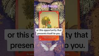 Amazing opportunity today! Angel Messages with the Angels