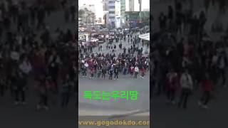 #독도는우리땅!!!