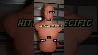Century BOB punching dummy #boxing #punchingbag #kickboxing #boxingworkout #review #boxingtraining