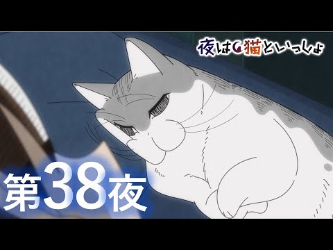 アニメ『夜は猫といっしょ』第38夜「いつの間にかとなりで寝てたネコ」