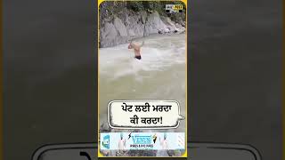 ਪੇਟ ਲਈ ਮਰਦਾ ਕੀ- ਕੀ ਕਰਦਾ! | DailyPost TV