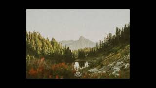 Sad Indie Folk x Acoustic Guitar Type Beat - “Letting You Know”