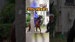 【大阪杯・出走予定】ステレンボッシュ 美浦での様子 #shorts