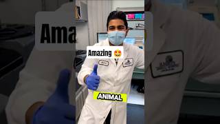 “This Animal Can Live After Being FROZEN for 24,000 Years!”