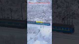 Arctic Circle || How to get there Fast! #arctic #arcticcircle