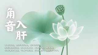 Asian Relaxing Music , Energy Healing ,Reiki Music｜Nourish Liver, Ease Depression, Jue Tone