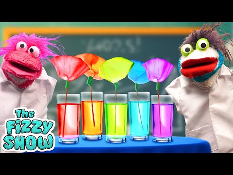 Fizzy Makes A Science Experiment With DIY Coffee Filter Flowers | Fun Videos For Kids