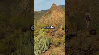 Desert To Snow: Palm Springs Tramway Adventure. #PalmSprings #AerialTramway #NatureLovers #TripCom