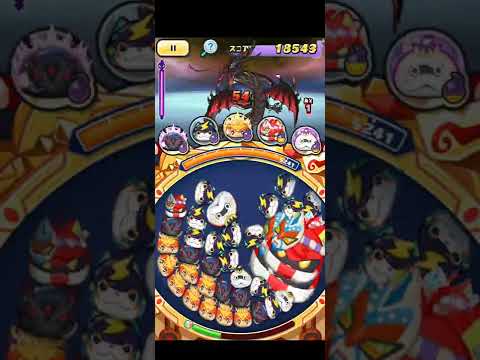 黒龍周回