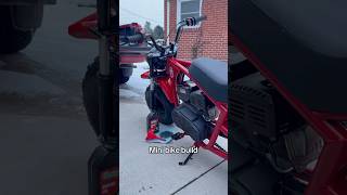 60mph loading #minibike #coleman #b200 #motorcycle #dirtbike #bike #motor #build #engine #automobile