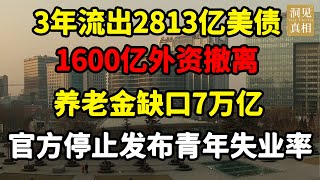 中国经济崩溃已开始！内循环政策背后是一场空前的财富掠夺，3年2813亿美债减持、1600亿外资撤离 #中国 #中国社会 #中国百姓 #老百姓#中国经济#破产#倒闭