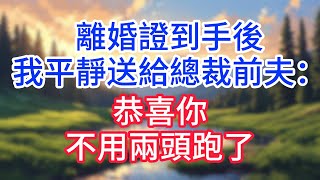【完結】离婚证到手后，我平静送给总裁前夫：恭喜你，不用两头跑了！#完结文#情感故事#一口气看完