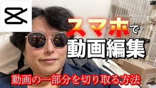 CapCut（キャップカット）で動画の一部分を切り取る方法を世界一わかりやすく解説！！【超初心者向け】【動画編集】