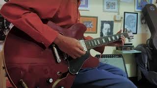 Sanimyok - Free Bird (Guitar Solo & Outtro)