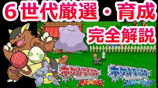 【厳選革命】6世代のポケモン厳選、育成方法を完全解説！【ポケモンXY ORAS リボンコンプ】
