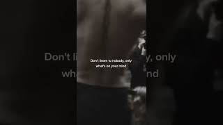 Stay focused #gym #workout #motivation #bodybuilding #shorts  #gymlife #gymmotivation  #zyzz #viral