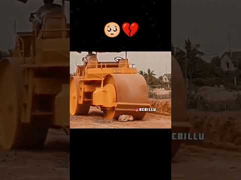 Don't Miss end 😐❤️❤️👈
