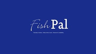 Dalguise River Tay Salmon Fishing Scotland April 2017 From FishPal