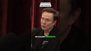 NGO SCAM gets EXPOSED by Elon Musk