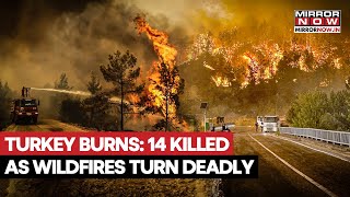 Turkey Wildfires: 100 Flee, 14 Dead as ‘Apocalyptic’ Fire Rages Through Cities | Shocking Videos Out