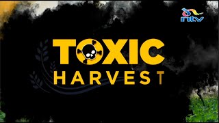 Toxic Harvest: How farm chemicals are silently killing farmers