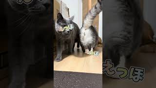 えっほ！えっほ！えっほ！　#えっほえっほえっほ