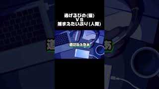 【とある日の人間と猫の物語】 #切り抜き #AMPTAKxCOLORS#ぷりっつ
