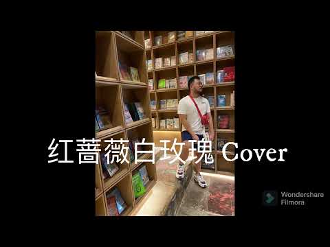 红蔷薇白玫瑰 Cover