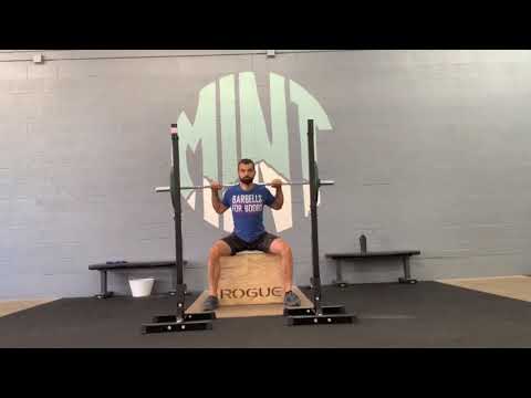 Sumo Box Squat