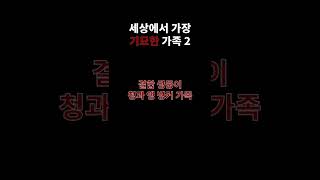 세상에서 가장 기묘한 가족 2