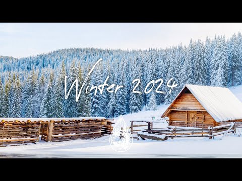 Indie Folk Compilation - Winter 2024/2025 ❄️ (3-Hour Playlist)