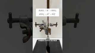 见识一下浓硫酸的超强脱水性！#涨知识 #知识分享 #有趣的知识