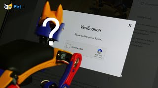 I am NOT A Robot - How To Get Help On Petoi Open Source Robot Dog Bittle And Robot Cat Nybble