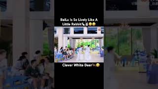 BaiLu Is A Vibe Maker🤣#白鹿 #王鹤棣 #bailu #bailu白鹿 #viral #viralshorts #shorts #viralreels #dylanwang