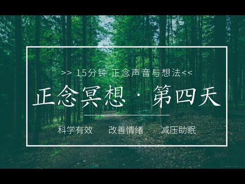 【正念冥想入门】第四天 正念声音与想法   改善情绪，减压助眠，放松身心，缓解内耗，减少焦虑抑郁情绪，提升专注，找回内心的宁静和幸福