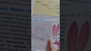 animal kingdom #neet #neetimportanttopic rapid points