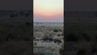 #short #trending #nature #🤗short# video #sudda#short#