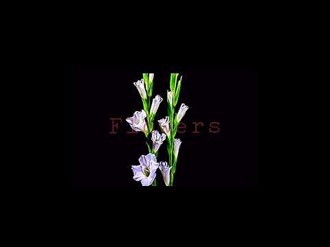 videos of flowers plates hurricane and rain are NOT mineCredits to all the creators of those videos