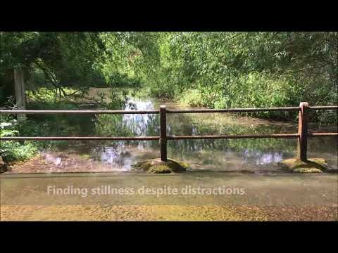 Finding Stillness