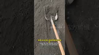 The key characteristics of fast burning carbon are easy ignition and fast ignition