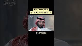 為什麼沙特富得流油，卻從沒有國家去打沙特的主意 #沙特#熱點話題