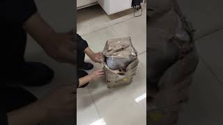 Wax Ribbon testing