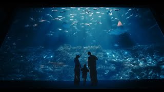 香港海洋公園 — 玩樂隨影　快樂隨行