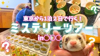 “癒し×爆食の旅”可愛すぎる動物＆止まらないビュッフェ🍴ぜんぶ詰まった最高な大人旅✨