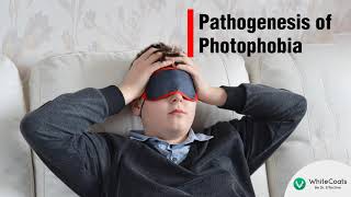 WhiteCoats | Clinical Insights | Pathogenesis of Photophobia
