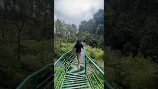 Pearl Valley Resort #sakleshpur  #travel #explore # #youtubeshorts #karnataka #nature