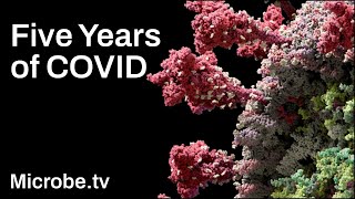 コロナ禍の5年間